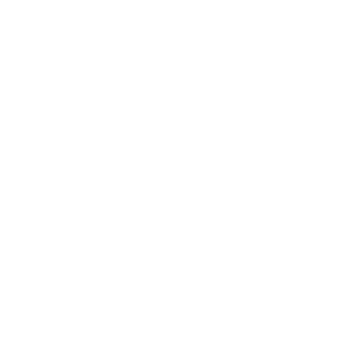 Customized Solutions